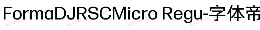 FormaDJRSCMicro Regu字体转换